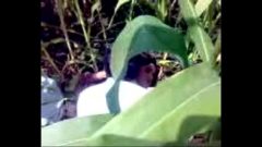 سکس در جنگل