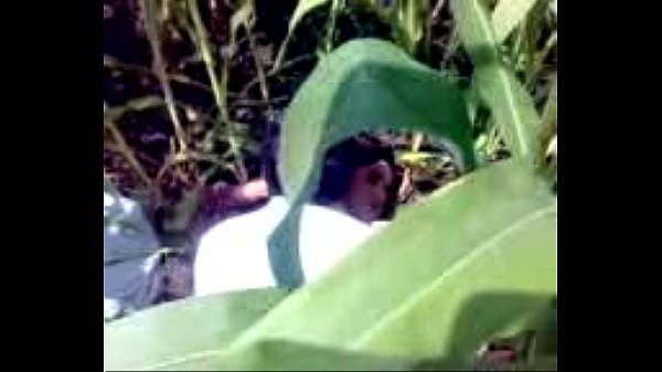 سکس در جنگل